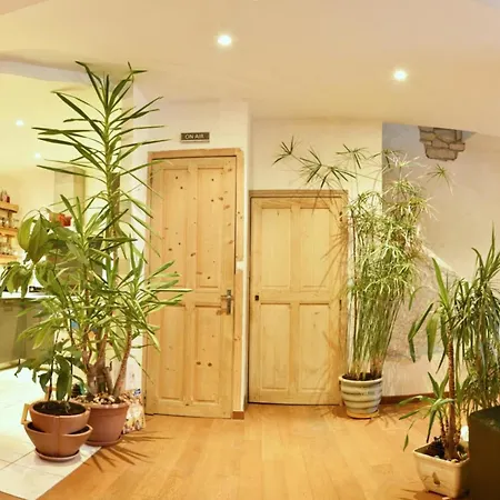Chaleureuse Maison Nanceienne بيت للعطل