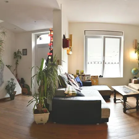 Casa vacanze Chaleureuse Maison Nancéienne *